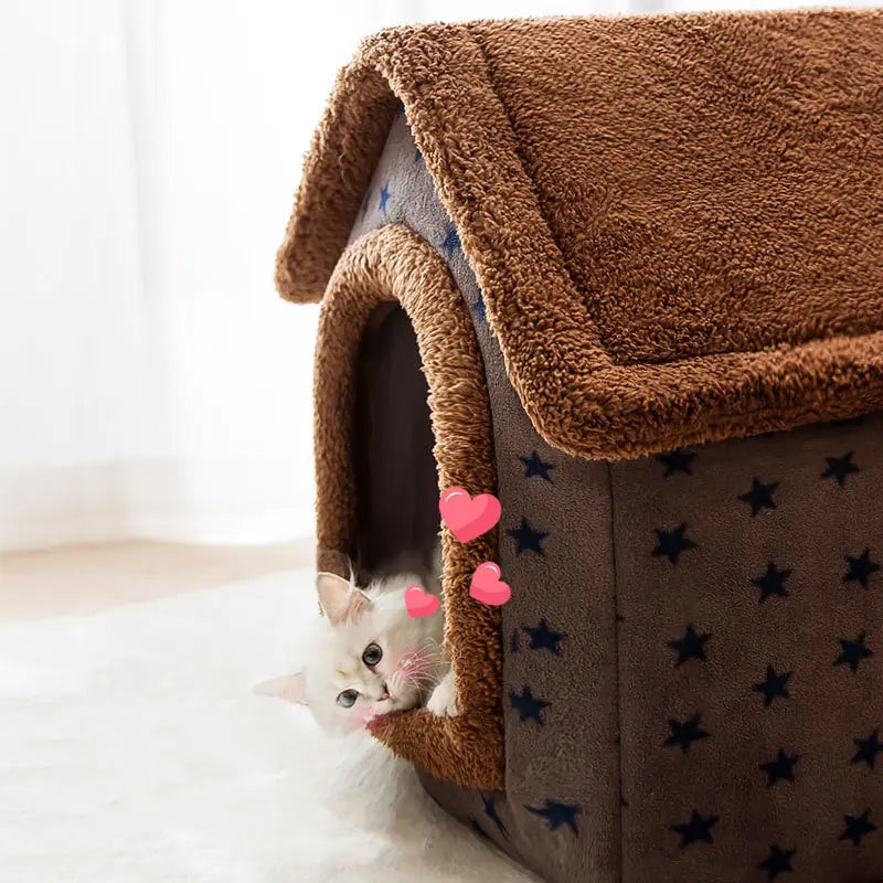 Katten of Honden Huis